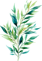 Floral border, greeting card with flowers, can be used, Watercolor floral bouquet illustration transparent background.