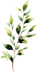 Watercolor blush floral clipart , Watercolor collection, Autumn floral corner border with dahlia, rose and transparent background.
