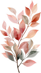 Watercolor blush floral clipart , Watercolor collection, Autumn floral corner border with dahlia, rose and transparent background.
