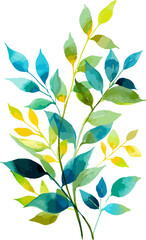 floral branch. Flower pink rose, green leaves. Watercolor floral elements - bright peach color, transparent background.