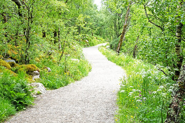 Fototapeta premium The hiking trail at Torghatten, a mountain located along the coastal area of northern Norway that features a distinctive natural tunnel passing completely through it.