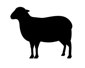 Black silhouette of a fluffy sheep, livestock concept and illustration, farm animal