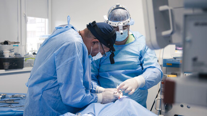 Medical professionals in blue scrubs performing surgery in a sterile operating room, showcasing...