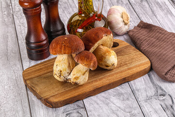 Raw natural wild porchini mushrooms