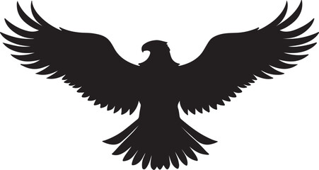 Obraz premium eagle with wings