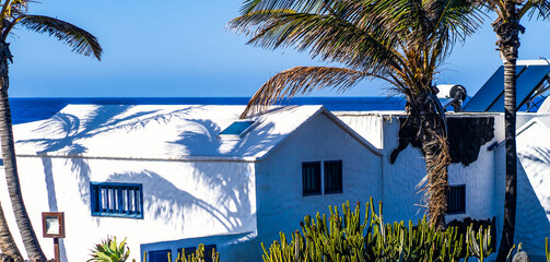 White houses on the seashore among palm trees and cacti.