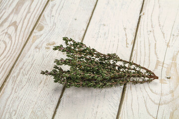 Fresh green Thyme branch isolated