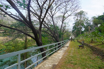 Fototapeta premium walking path in the park