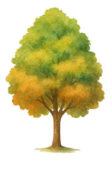 Artistic picture of a tree on transparent background