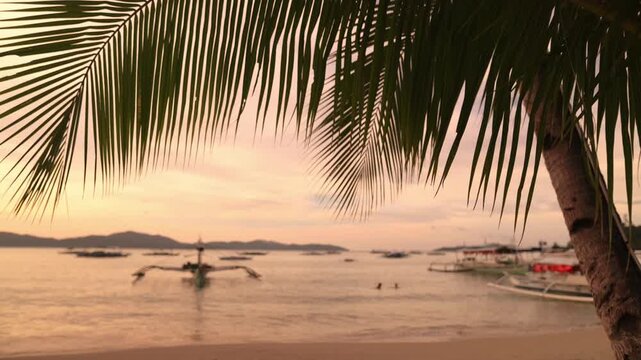 Scenic beach view with palm and boat at golden hour in Port Barton