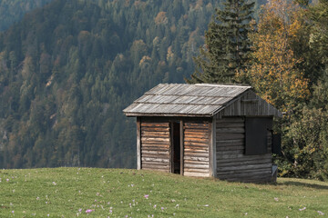 A small wooden hut stands on a green hill with a forest in the background.