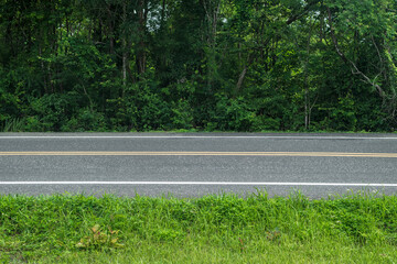 Asphalt road in the forest. Road background.