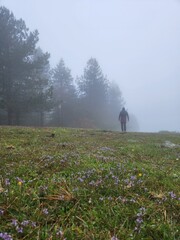 Monta&ntilde;ista en la niebla