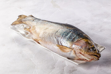 Raw fresh whole salmon fish