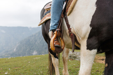 A person wearing jeans is riding a black and white horse. The rider's foot is in the stirrup, with...