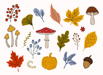 Vector set of autumn forest elements including mushrooms, leaves, berries, acorn, pumpkin. Hand-drawn flat style with bold outlines and warm colors. Perfect for prints, stickers, decor, kids projects.