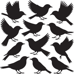 Obraz premium Black bird silhouettes in various poses birds flying