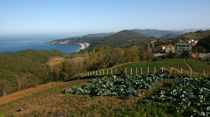Guzelcehisar Town, located in Bartin, Turkey, is a holiday region.