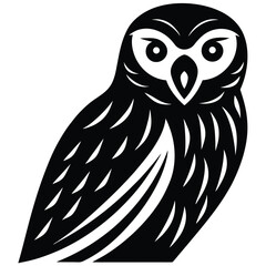 owl on white background
