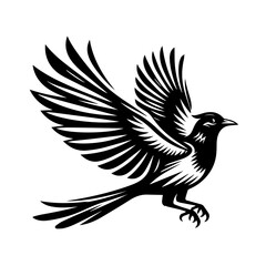 Obraz premium eagle vector illustration