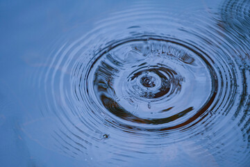 Raindrops falling on smooth surface of water. water droplets affect the surface.