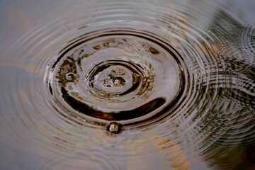 Raindrops falling on smooth surface of water. water droplets affect the surface.