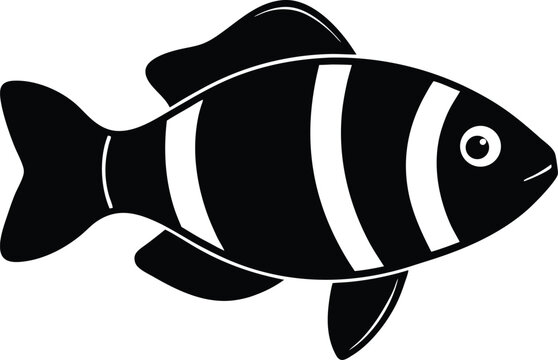 Harlequin tuskfish silhouette vector art illustration