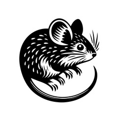 Fototapeta premium vector image of a mouse
