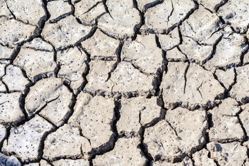 Dry cracked soil is creating beautiful patterns under sunlight