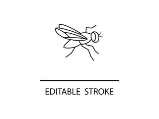 Simple fly outline for design projects, editable stroke insect drawing for natural science, pest control, and educational materials ready to use.