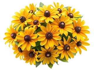 A beautiful bouquet of bright yellow BlackEyed Susans on white background