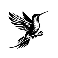 Obraz premium dove of peace