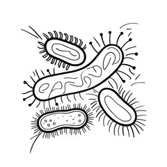 Hand Drawn Bacteria Clipart Vector | Microbe Line Art Illustration