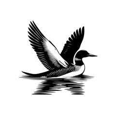 black winged stilt