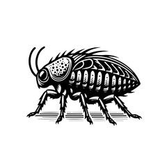 mosquito isolated on white background