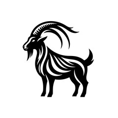black and white horse
