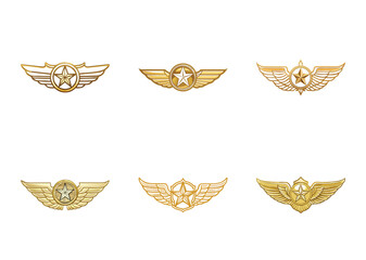Collection of golden pilot wings badges with star emblem on white background