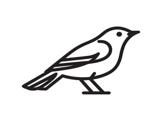 Cute minimalist bird illustration in elegant vector