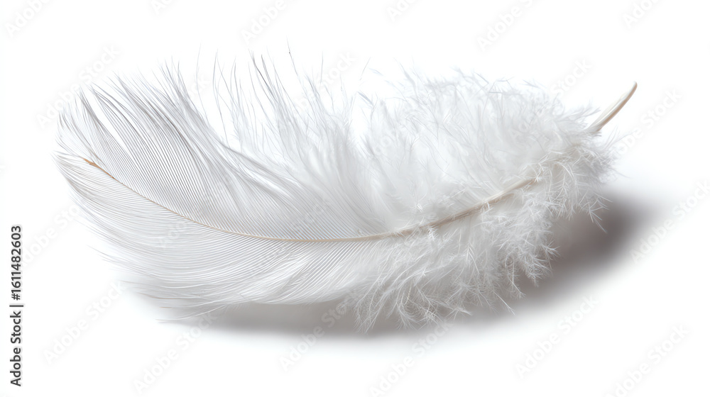Poster a close-up image of a delicate white feather with fine barbs and soft downy texture against a clean 