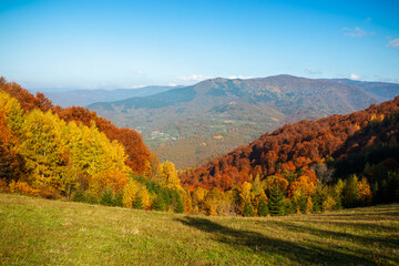 A vibrant autumn landscape near Kopaonik, Serbia, showcasing colorful hills and clear skies.