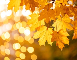 Fototapeta premium Autumn leaves with bokeh background