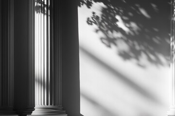 Classical columns cast shadows on a bright white wall, creating a serene and elegant scene.
