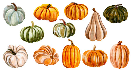 Set of different pumpkins, watercolor illustrations