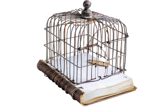 Rusty birdcage on open notebook pen inside