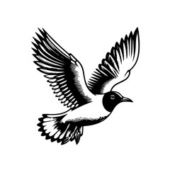 Obraz premium A black and white illustration of a gull in flight