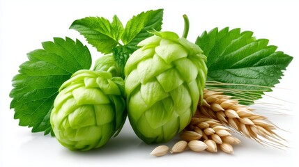 Fresh green hops and barley grains arranged with vibrant leaves, showcasing brewing ingredients in natural setting