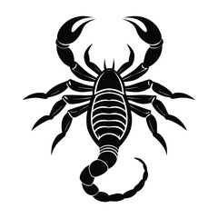 Silhouette of a Scorpion Design with Intricate Details on White Background (1)