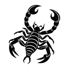 Silhouette of a Scorpion Design with Intricate Details on White Background (1)