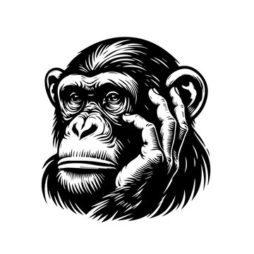 A thoughtful chimpanzees face rendered in a vintage illustration style