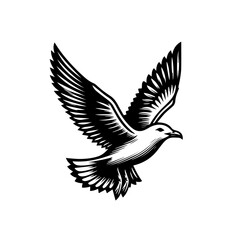 Obraz premium A black and white illustration of a seagull in flight